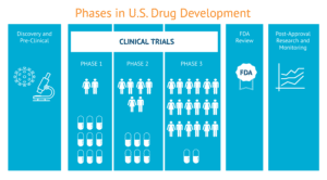 Phases in US Drug Development