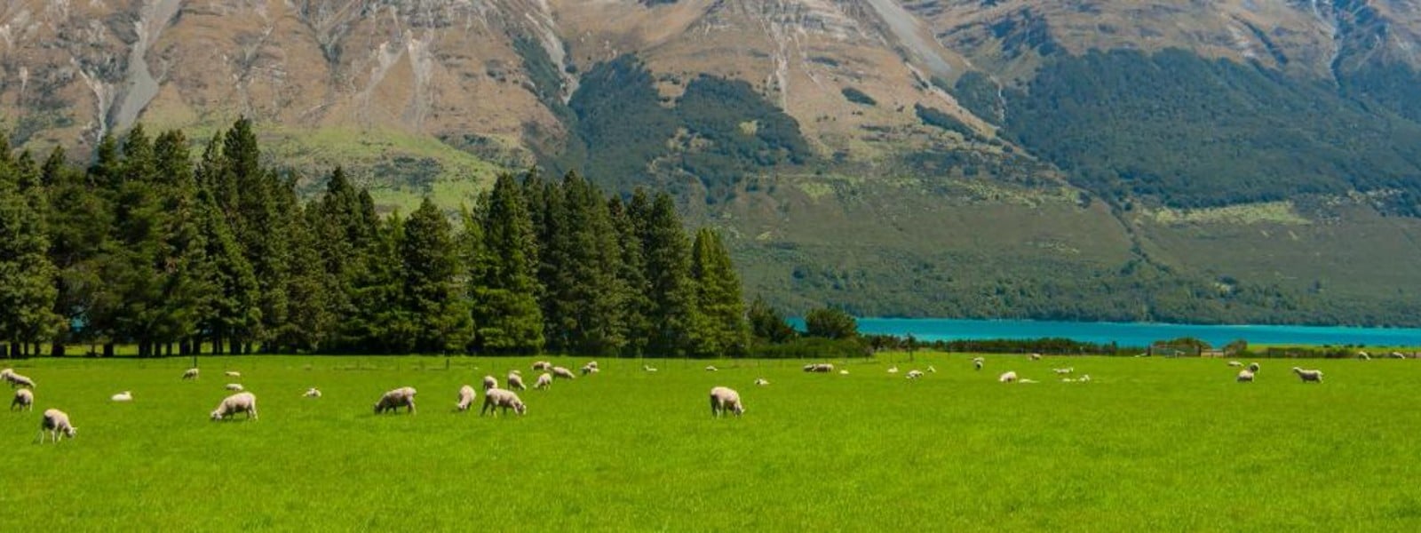 Taste Pure Nature: Partnering with US companies to grow awareness