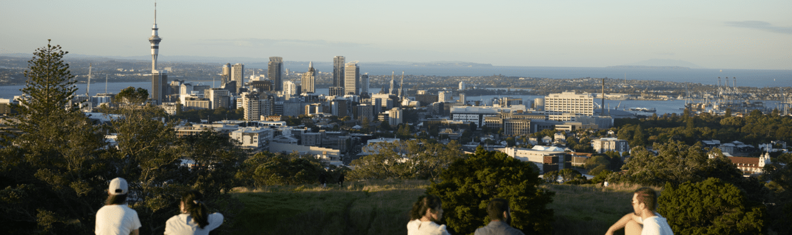 Tim McCready: Understanding how Americans perceive themselves and New Zealand: Insights from Market Pulse Research