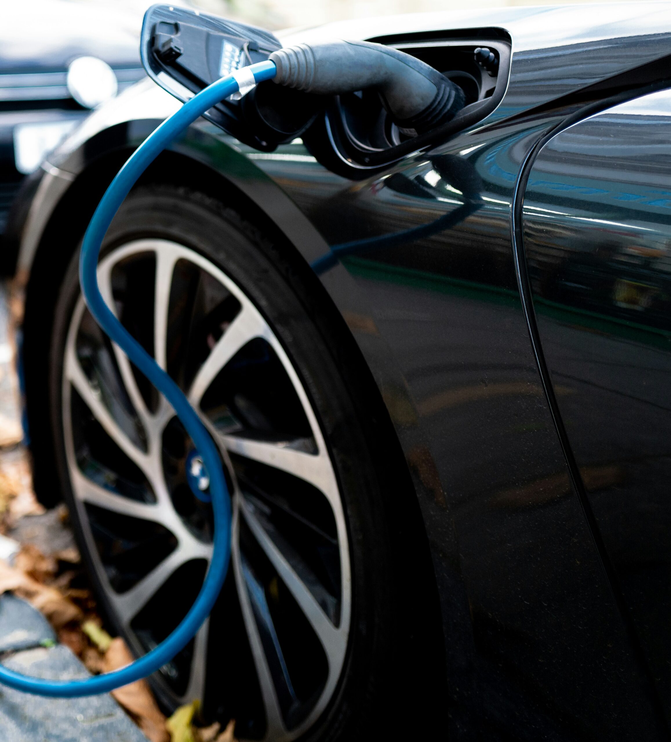 California’s Electric Vehicle Ecosystem: Insights for New Zealand’s Green Transport Future